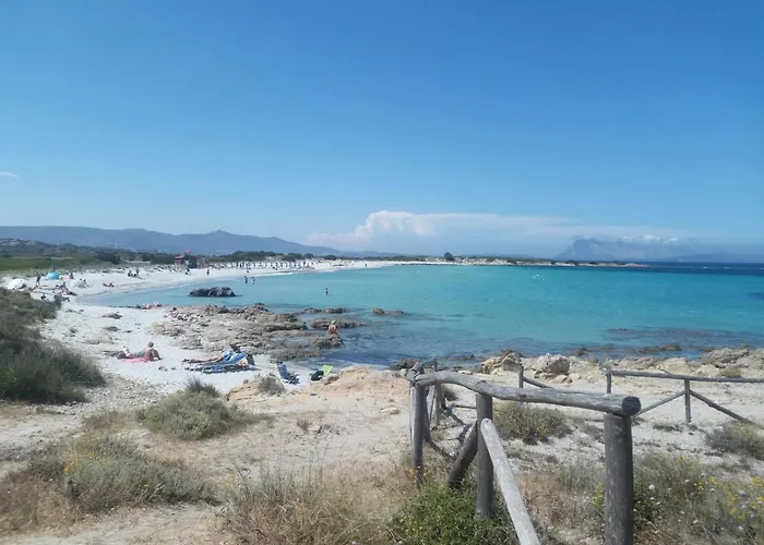 Bilo Lu Rattali
