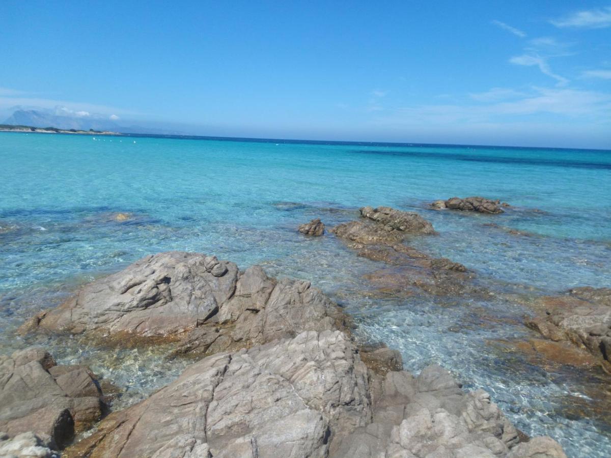 Holiday home Bilo Lu Rattali